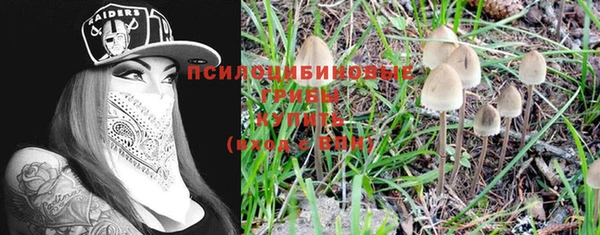 эйфоретик Зеленодольск