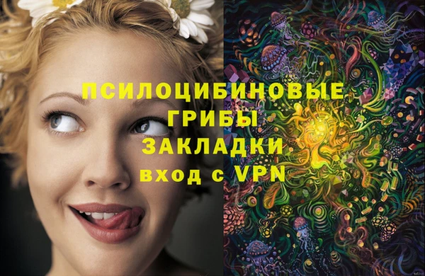 эйфоретик Зеленодольск