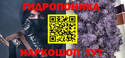 спиды Камышлов