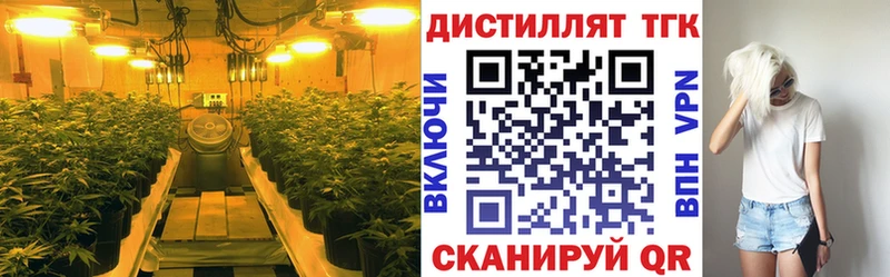 наркотики  blacksprut ссылки  ТГК жижа  Курчалой 