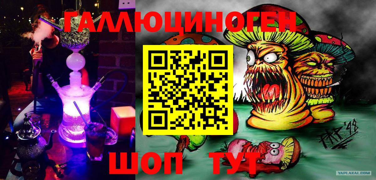 Галлюциногенные грибы MAGIC MUSHROOMS Курчалой