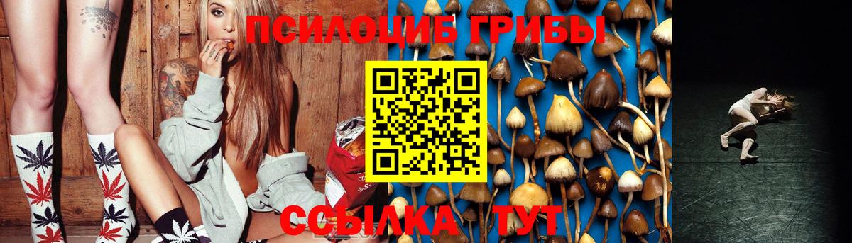 купить   Вход с VPN  Курчалой  Псилоцибиновые грибы Magic Shrooms 
