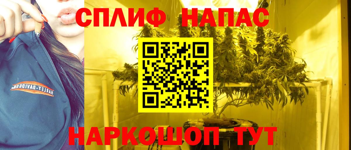Курчалой  Шишки марихуана AK-47  МАРИХУАНА тримм  Вход с VPN 